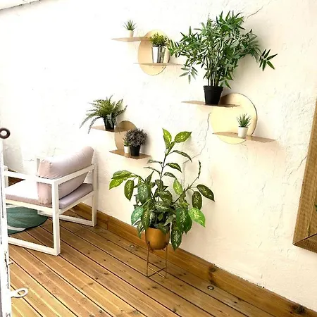 Appartement Hyper Center With Terrace Inclus 2 Stand Up Paddle Nice